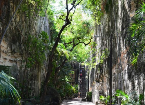 Transportation Tips for Exploring Nassau, Bahamas